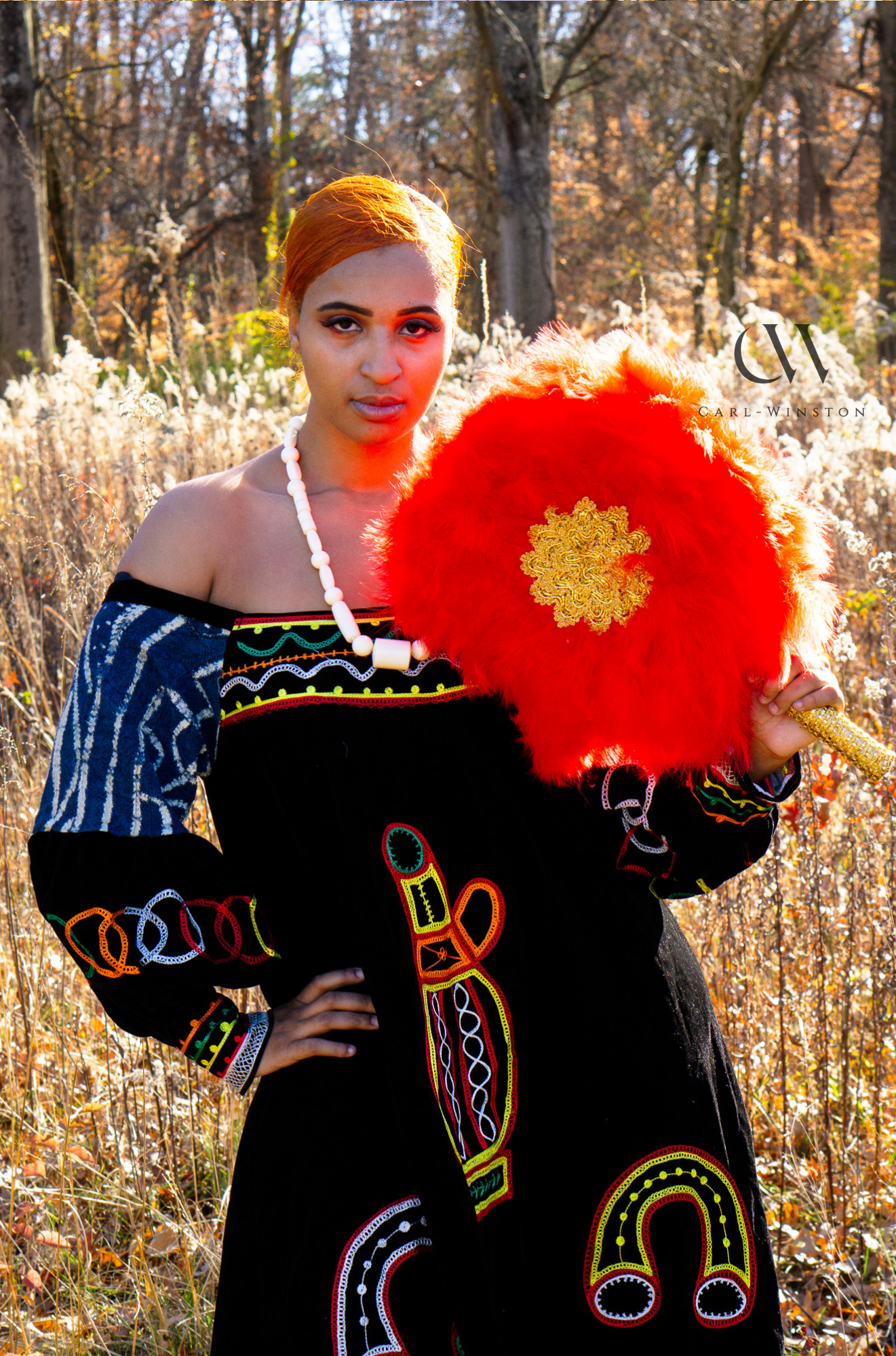 Ceremonial Fan