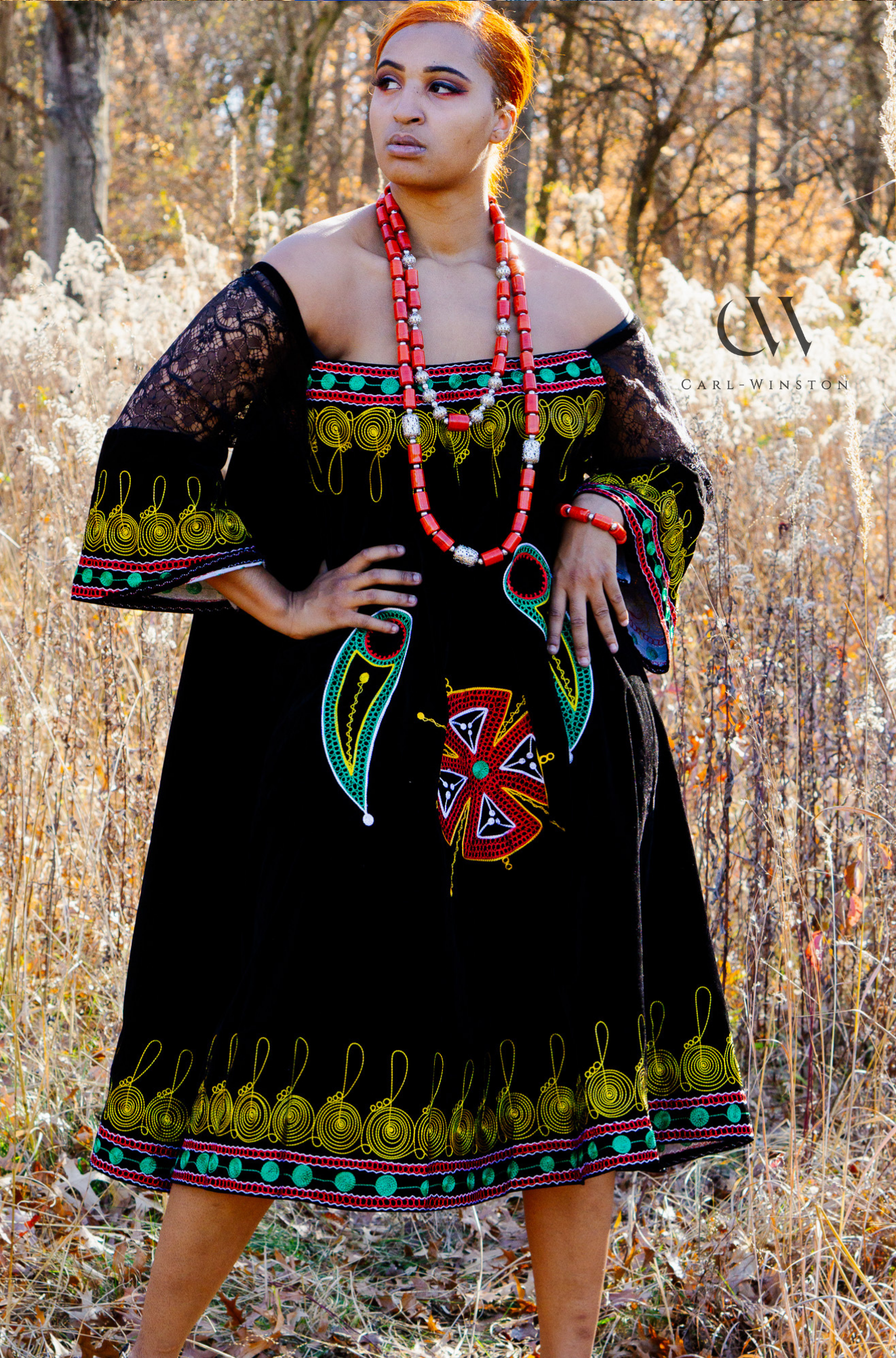 Toghu Floral Mesh Dress