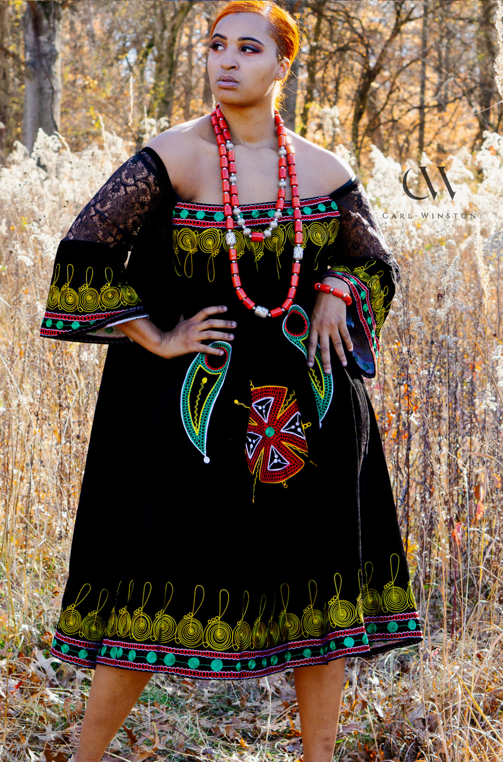 Toghu Floral Mesh Dress