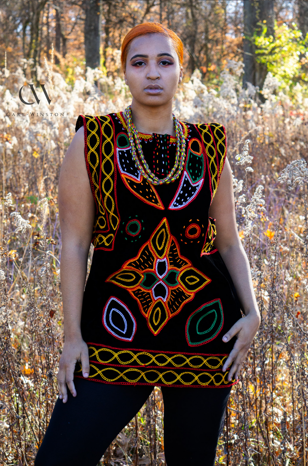 Toghu Vest