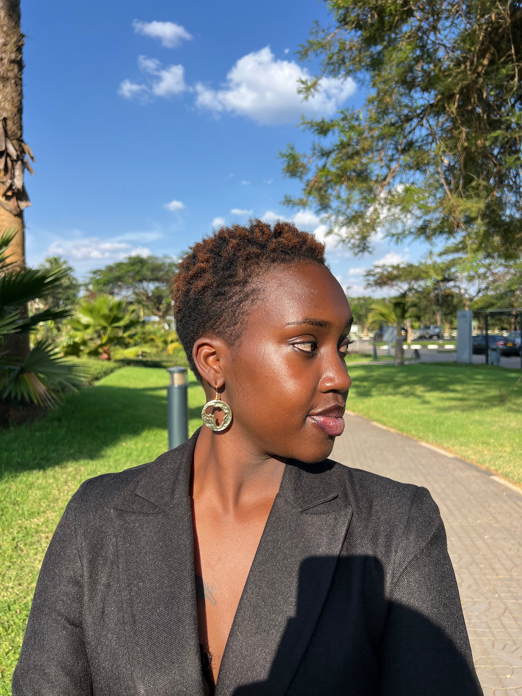 Ubuntu Horizon Brass Earrings